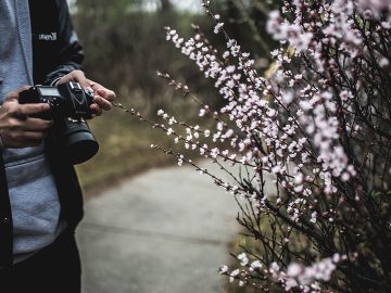 EU privacy investigation targets Musk’s Grok chatbot over deepfakes