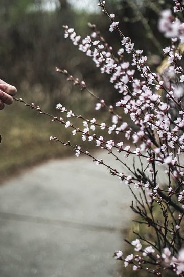 EU privacy investigation targets Musk’s Grok chatbot over deepfakes