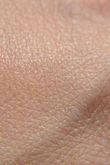 Saudi Arabia Health and Fitness Club Market Size, Share & Trends Analysis, 2032