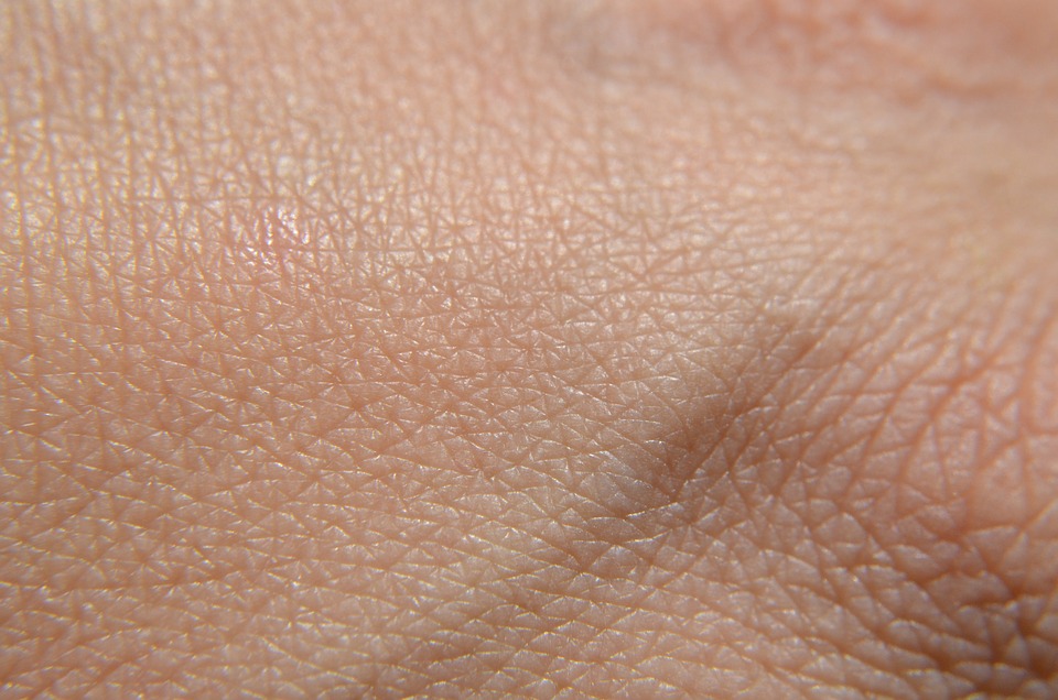 Saudi Arabia Health and Fitness Club Market Size, Share & Trends Analysis, 2032