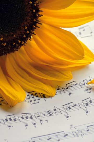 The surprising ways Boomers reshaped American work culture