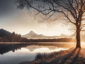 News and Views on Data-Driven Digital Advertising and Marketing