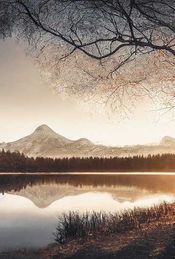 AI in Investigations: Tailoring to Specific Tasks