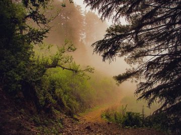 Meta ends Instagram DM encryption: What marketers must know