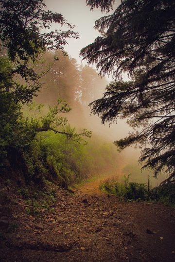 Meta ends Instagram DM encryption: What marketers must know