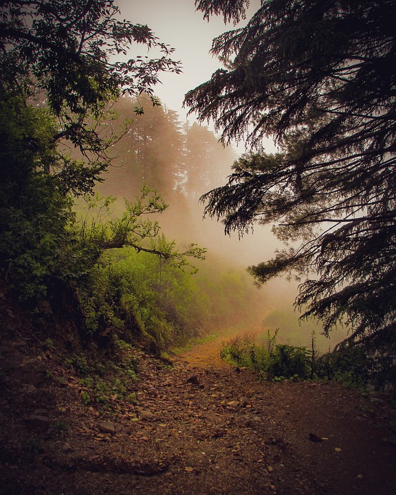 What’s Actually Working in Instagram Marketing Right Now