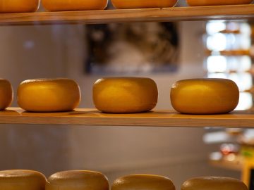 Making the Web Accessible for Everyone: How AI Supports Developers in Inclusive Design