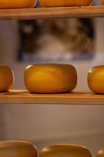 Making the Web Accessible for Everyone: How AI Supports Developers in Inclusive Design