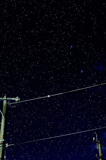 Google Is Accused of Burying 0M Settlement Emails — They’re Landing in Spam Folders