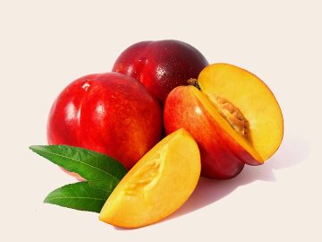 The Results Don’t Lie: Google’s AI Is the Best Automated Health Coach I’ve Tried