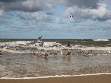 Nine Uncomfortable Truths Leaders Must Accept About Personal Branding