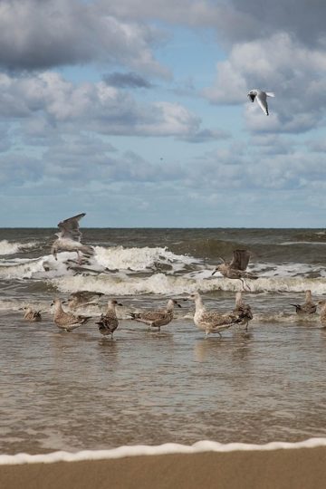 Nine Uncomfortable Truths Leaders Must Accept About Personal Branding