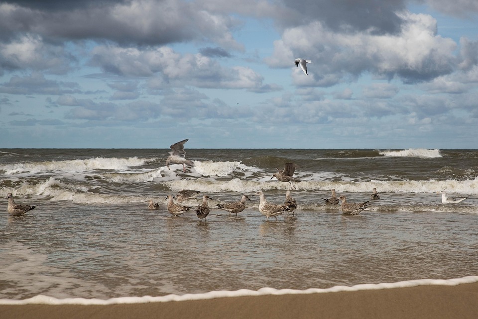 Even the smartest minds struggle to get noticed — that's why personal branding matters for every profession