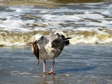 What Is Influential Women on LinkedIn and Why Is It Gaining Attention?