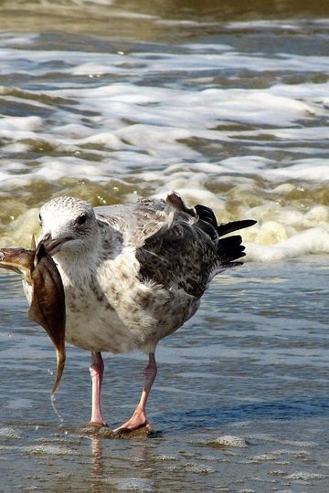 What Is Influential Women on LinkedIn and Why Is It Gaining Attention?