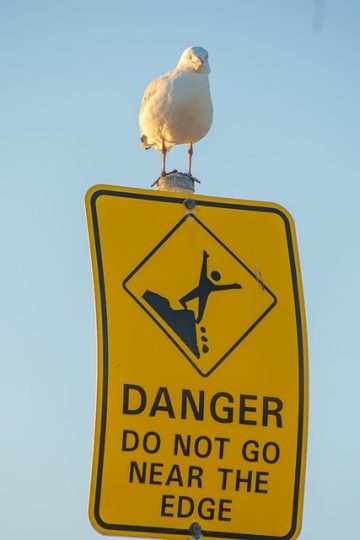 Google says Gmail issue is fixed — but inbox spam warnings may persist