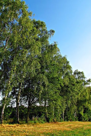 Big Tech Boycott to Protest ICE Led by Scott Galloway Starts Feb. 1