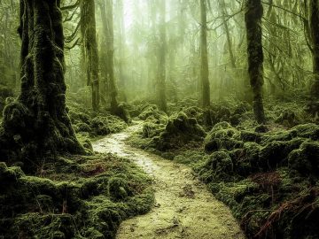 IIT Madras Pravartak launches executive program in Generative AI and Agentic AI Tools for Business