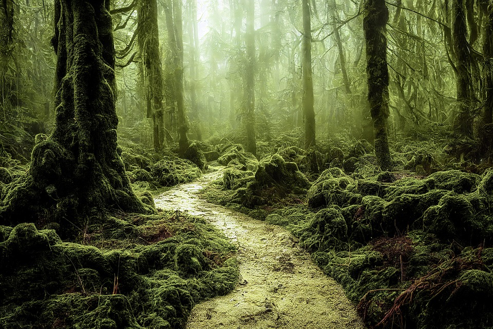 IIT Madras Pravartak launches executive program in Generative AI and Agentic AI Tools for Business