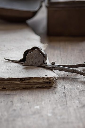 Exploding Interest in AI Tools and Chatbots: Why “How to Use AI for X” Searches Keep Growing