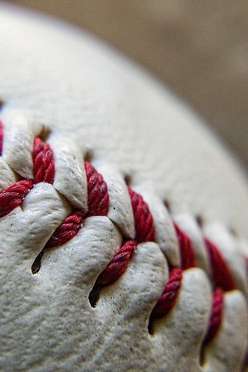 Official New York Yankees Website