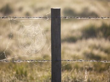 Fake PDF Spam Delivers Persistent Remote Access Tools