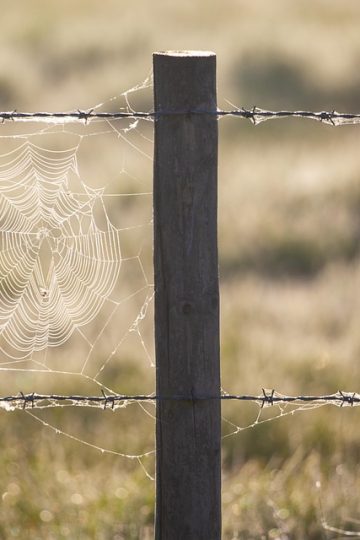 Fake PDF Spam Delivers Persistent Remote Access Tools