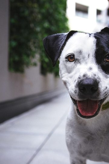 29 Hilarious Internet Fails From Last Week