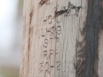 WHAT THE TECH? Reporting spam | Local News