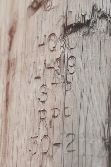 WHAT THE TECH? Reporting spam | Local News