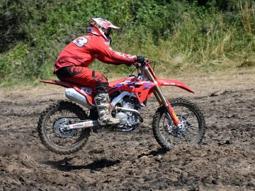 Pelicans Home | Official Site of the New Orleans Pelicans