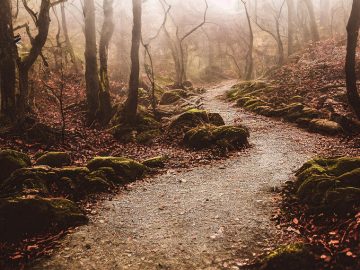 AI Rebirth: Turning Digital Footprints Into Living Legacies