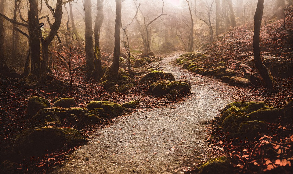 AI Rebirth: Turning Digital Footprints Into Living Legacies