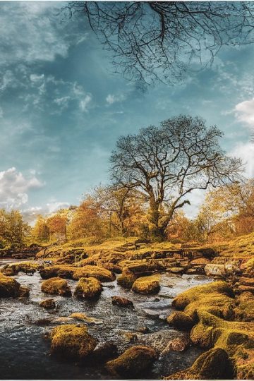 Eve Online’s new in-game chatbot “is not generative AI,” but I’d still rather ask randomers for advice