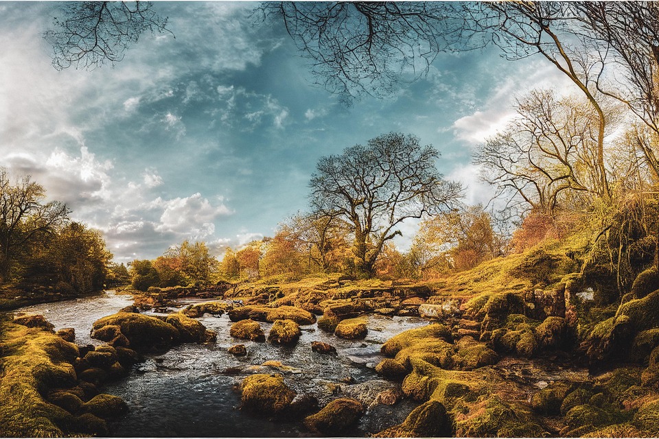 Eve Online’s new in-game chatbot “is not generative AI,” but I’d still rather ask randomers for advice