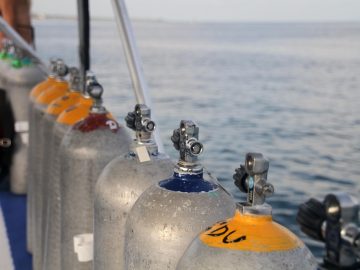 Tennis: Alex Eala soars to new career-best No. 31 in WTA rankings