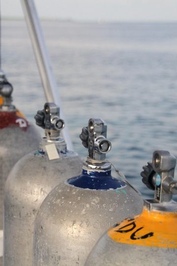 Tennis: Alex Eala soars to new career-best No. 31 in WTA rankings