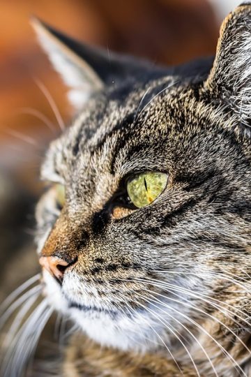 50 Random, Funny Memes You Might Want To Share With Your Friends