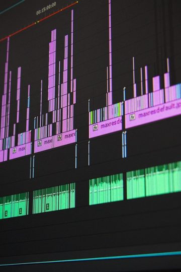 The Great AI Bifurcation: Why Hardware Giants Soar While Software Pioneers Like Palantir and Oracle Stumble