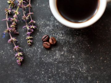 The State of Social Media 2026