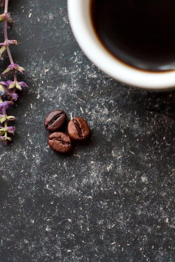 The State of Social Media 2026