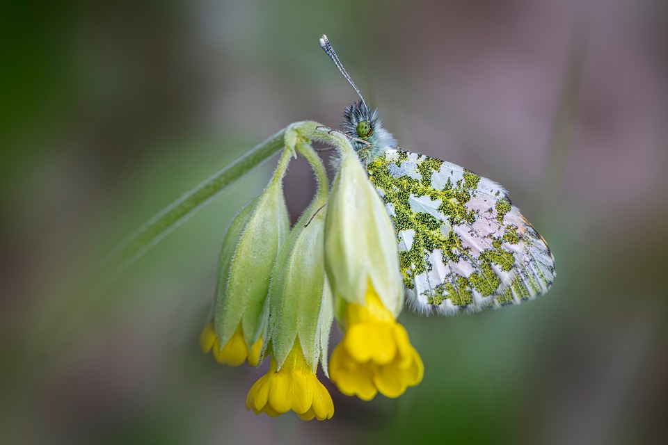 Anthropic’s Stand, Oura’s New Model for Women’s Health, New AI Agent from Perplexity & OpenAI Hits a Landmark, Plus Upcoming Earnings, Events