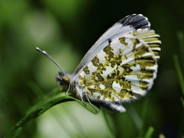 AI Actor Tilly Norwood Releases Music Video Addressing Backlash