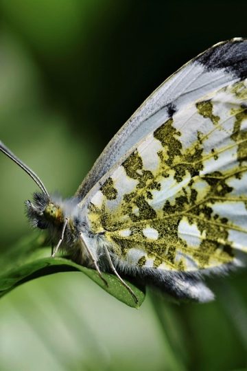 AI Actor Tilly Norwood Releases Music Video Addressing Backlash