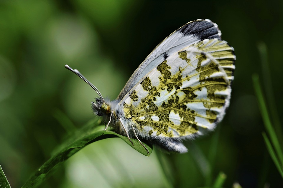 AI Actor Tilly Norwood Releases Music Video Addressing Backlash