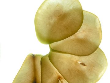 MHRA issues new guidance for people using mental health apps and technologies