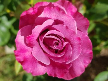 Priority Marketing adds Sarah Belof as social media coordinator