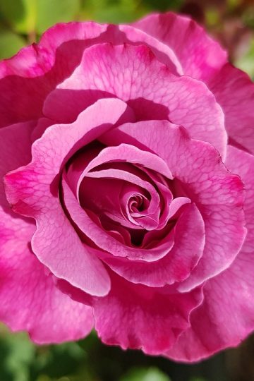 Priority Marketing adds Sarah Belof as social media coordinator