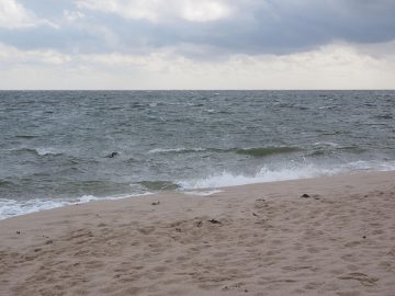 OpenAI launches GPT-5.4 with native computer use mode, financial plugins for Excel, Sheets