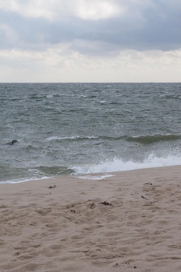 OpenAI launches GPT-5.4 with native computer use mode, financial plugins for Excel, Sheets